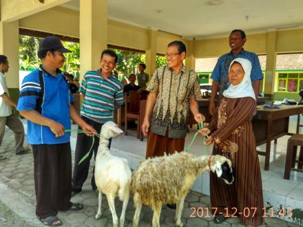 21 Kambing dibagikan Pemerintah Desa Guwosari